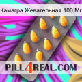 Камагра Жевательная 100 Мг cialis1